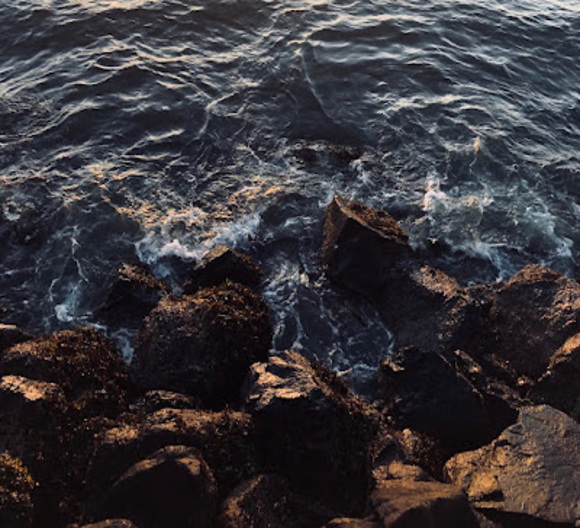 Meet your Posher, Aysha - Picture 1 of 1